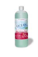 Ocean Fönsterputs 1L