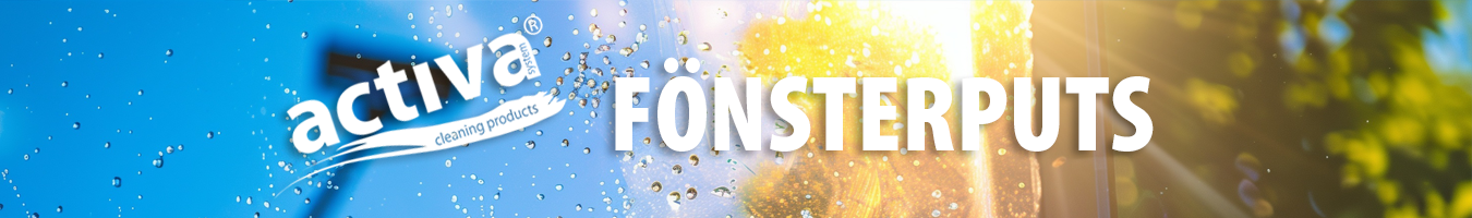 Fonsterputs